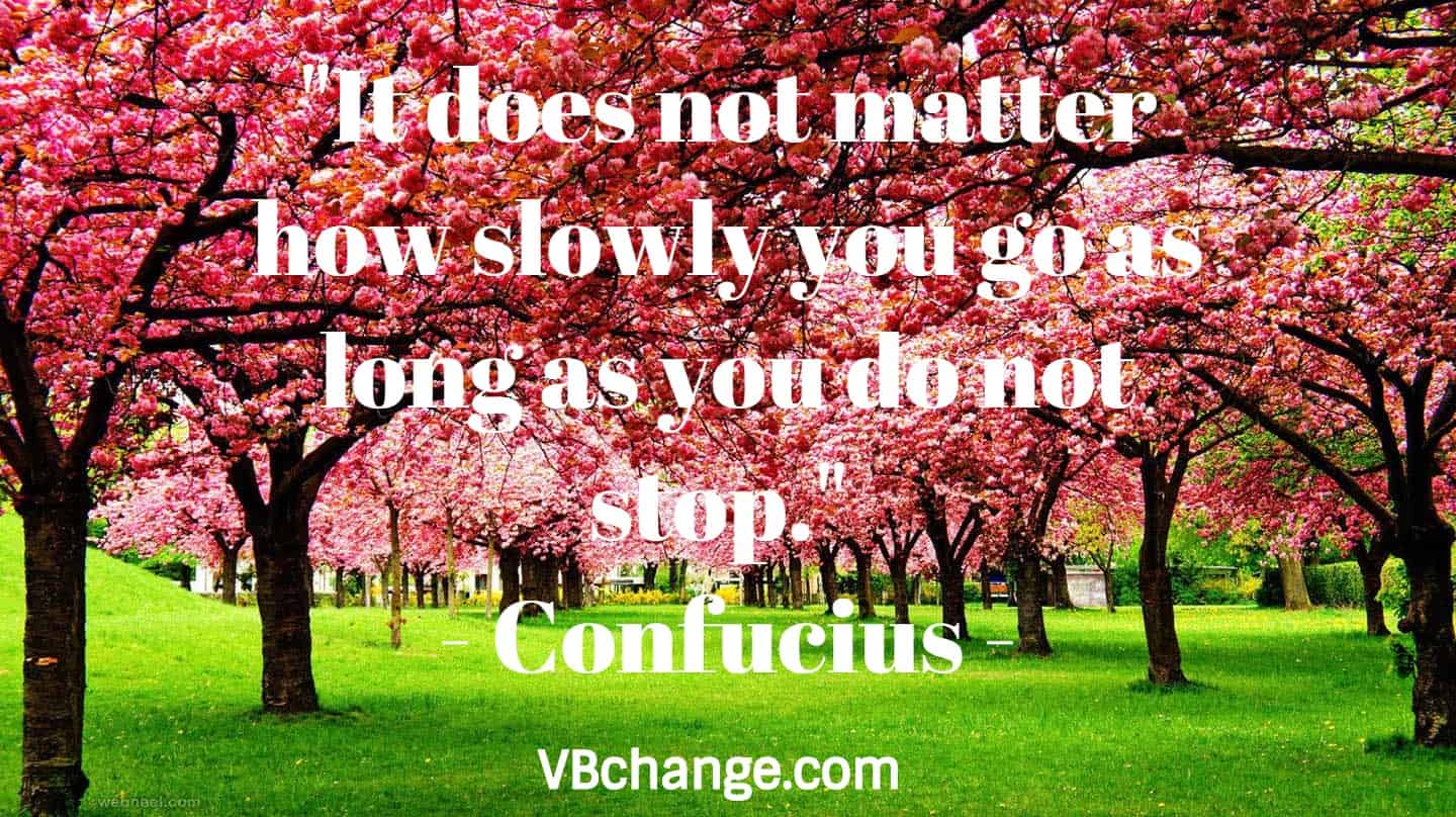 "It does not matter how slowly you go as long as you do not stop." - Confucius