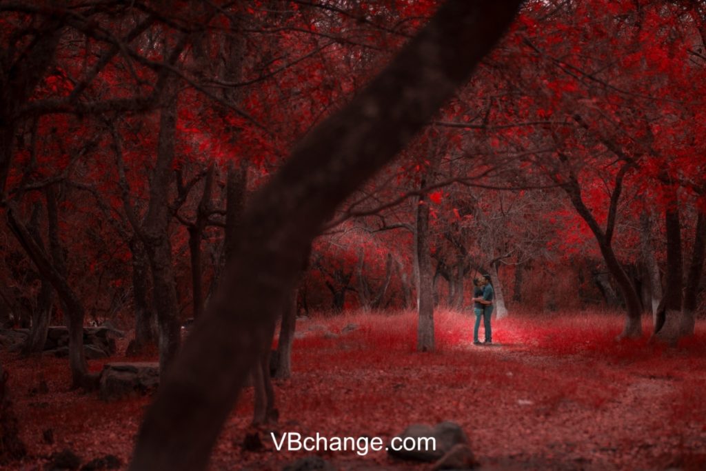 Beautiful couple sharing their love for each other in a magical forest