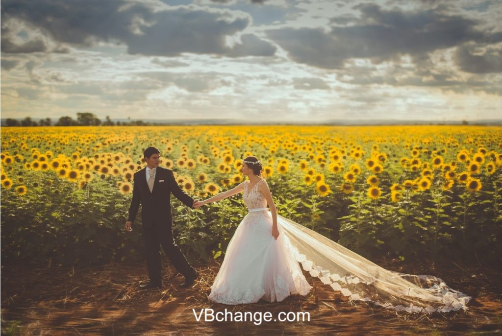 Beautiful married couple holding hands in a romantic sunflower field